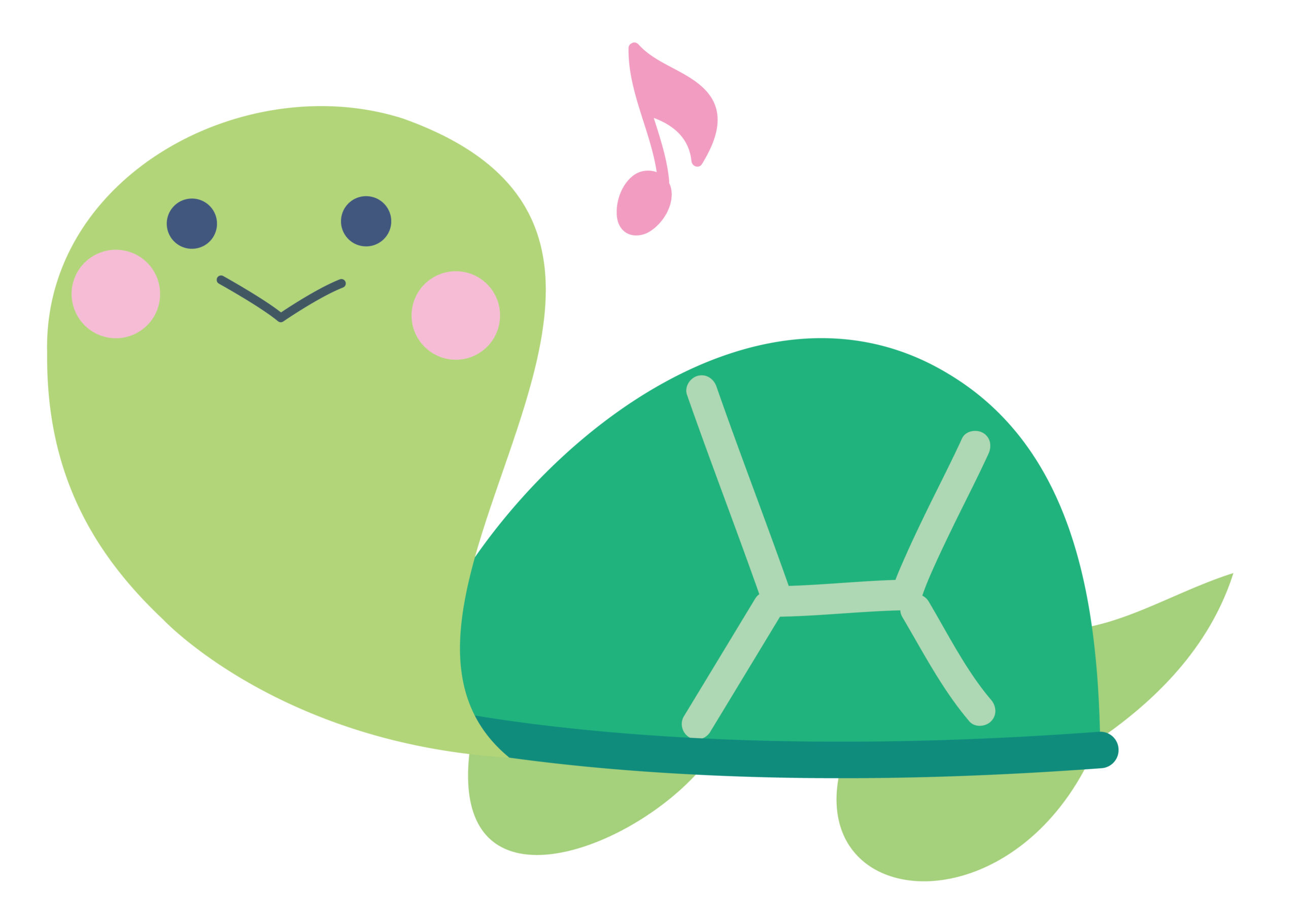 のんびりカメ1